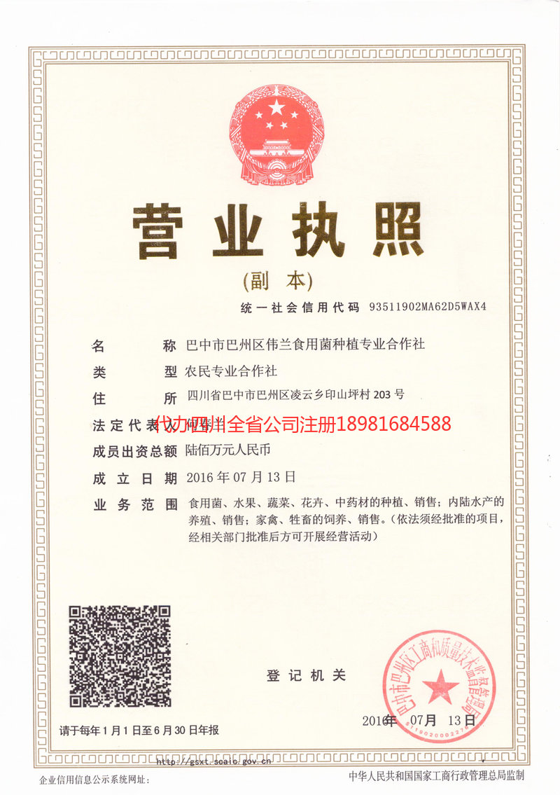 安阳安阳伟兰食用菌种植专业合作社